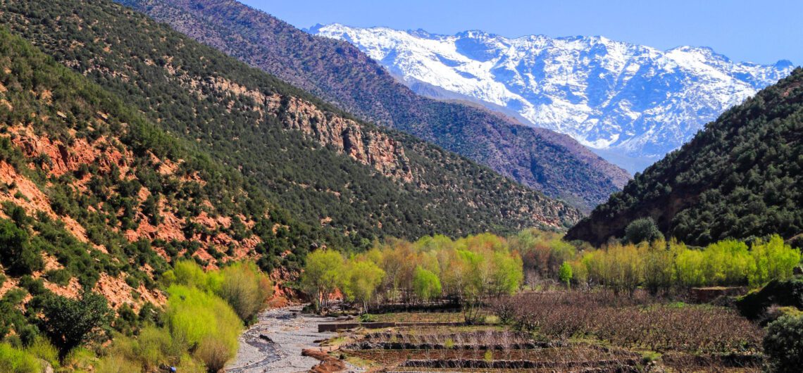 Natural park Toubkal one of the famous national parks of Morocco
