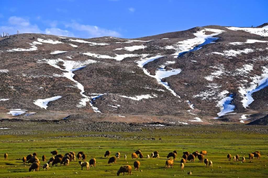 Atlas mountains morocco weather