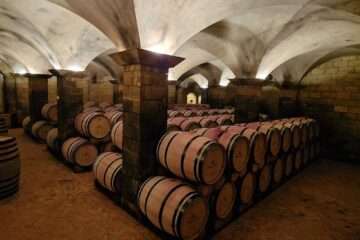 Visit the cellar at château Roslane. Wine tasting tour at château roslane